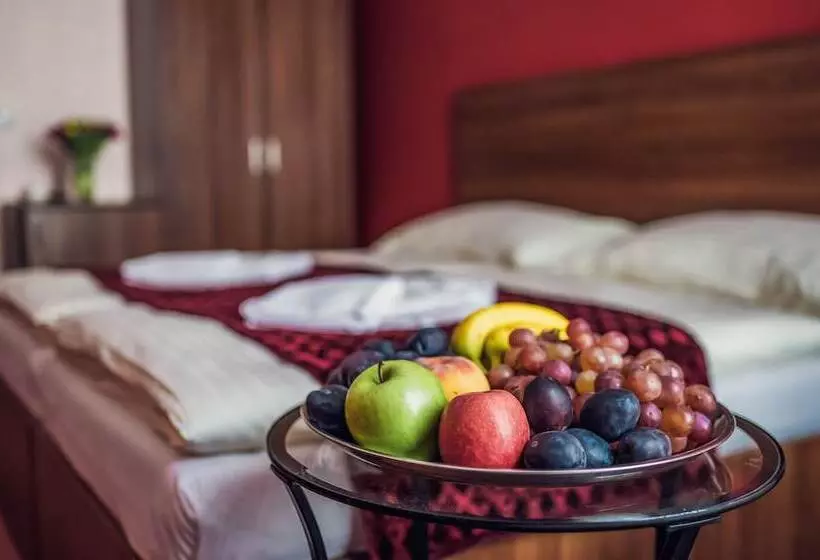 Fotos del hotel Czechia:  22