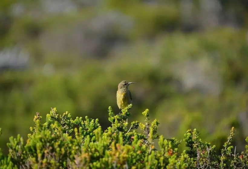 Fotos del hotel Point B Guest House:  4