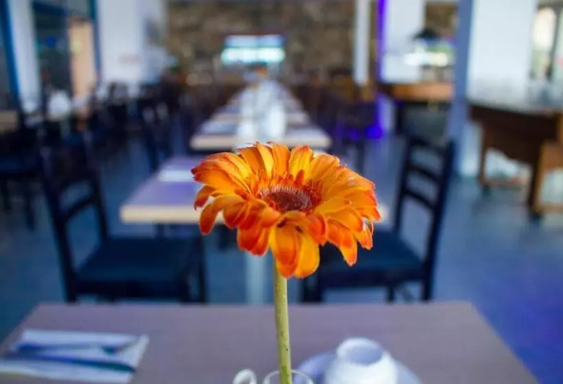 Fotos del hotel Anonymous Beach:  9