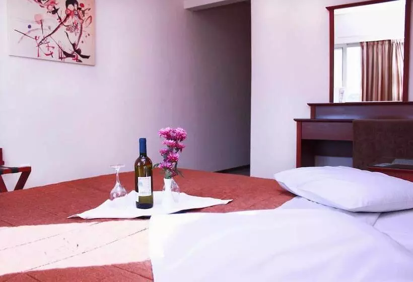 Fotos del hotel Apollo:  15