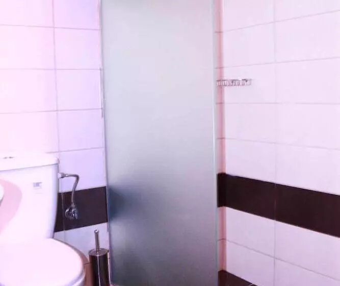 Fotos del hotel Apollo:  12