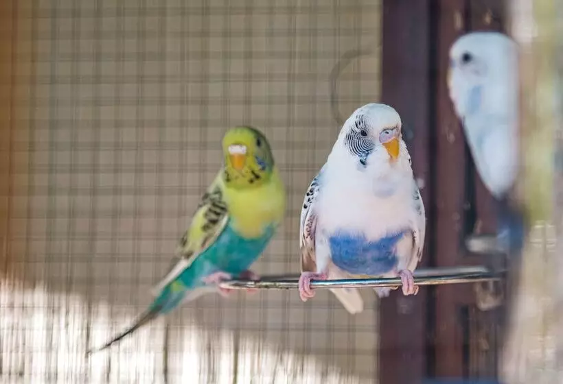 Fotos del hotel Palms City Resort:  8