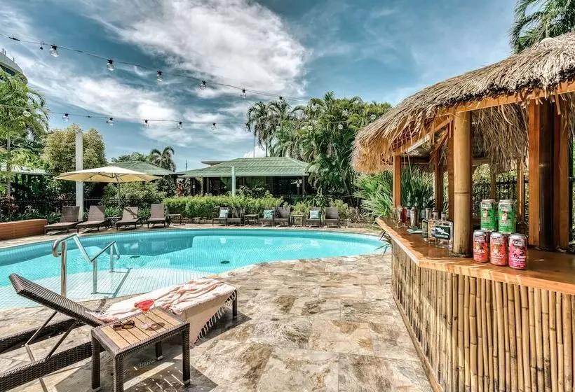 Fotos del hotel Palms City Resort:  4