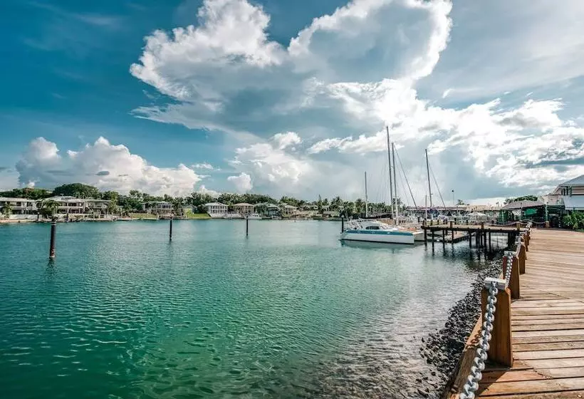 Fotos del hotel Palms City Resort:  14