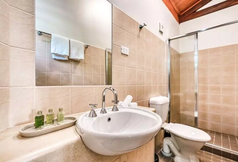 Fotos del hotel Palms City Resort:  7