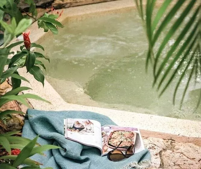 Fotos del hotel Palms City Resort:  2