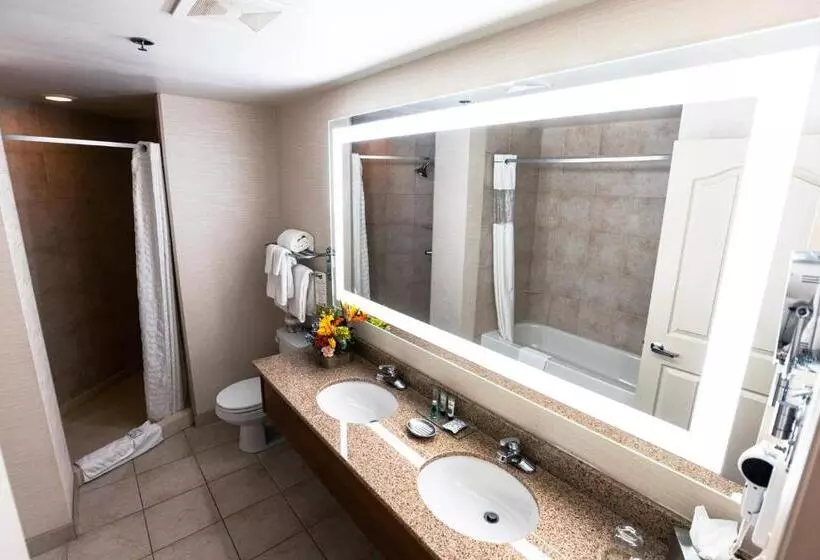 Fotos del hotel Deerfoot Inn And Casino:  8