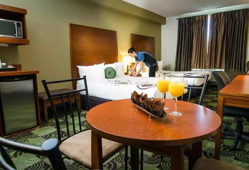 Fotos del hotel Deerfoot Inn And Casino:  19