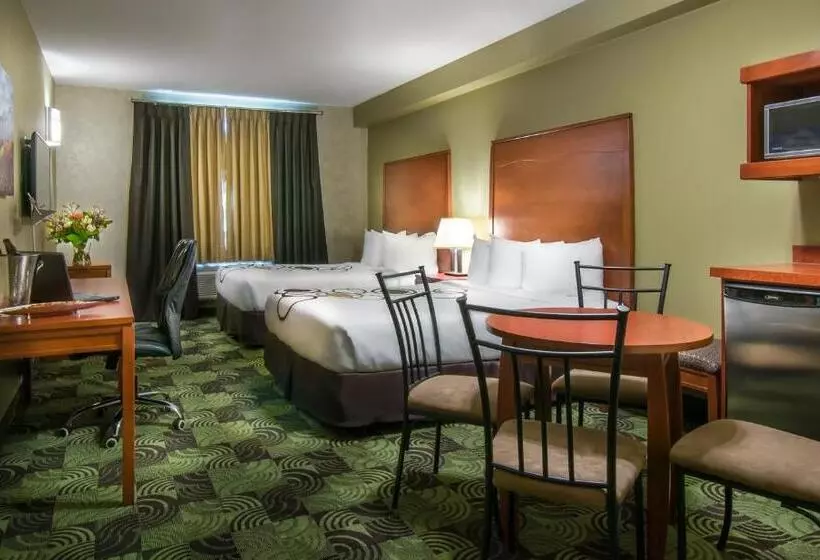 Fotos del hotel Deerfoot Inn And Casino:  24