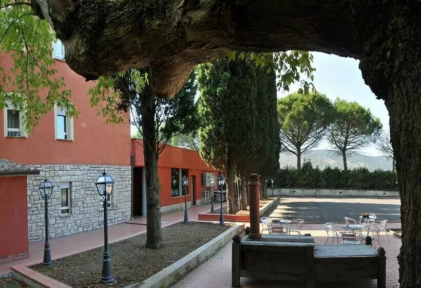 Fotos del hotel Domo:  12