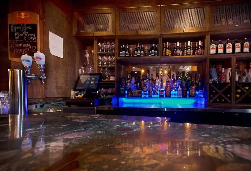 Fotos del hotel Samesun Montreal Central:  8