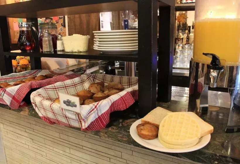 Samesun Montreal Central