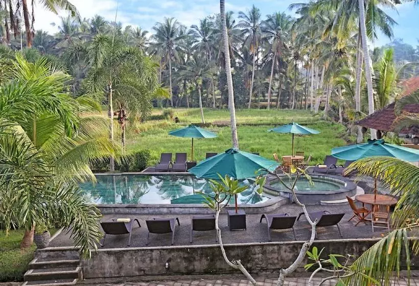 Fotos del hotel Bhanuswari Resort & Spa:  14