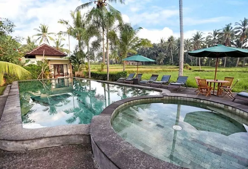 Fotos del hotel Bhanuswari Resort & Spa:  11