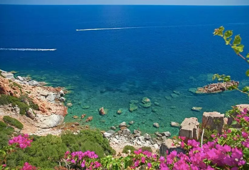 Fotos del hotel blau monte turri:  10