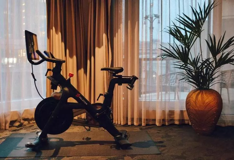 Fotos del hotel Neuer Fritz:  19