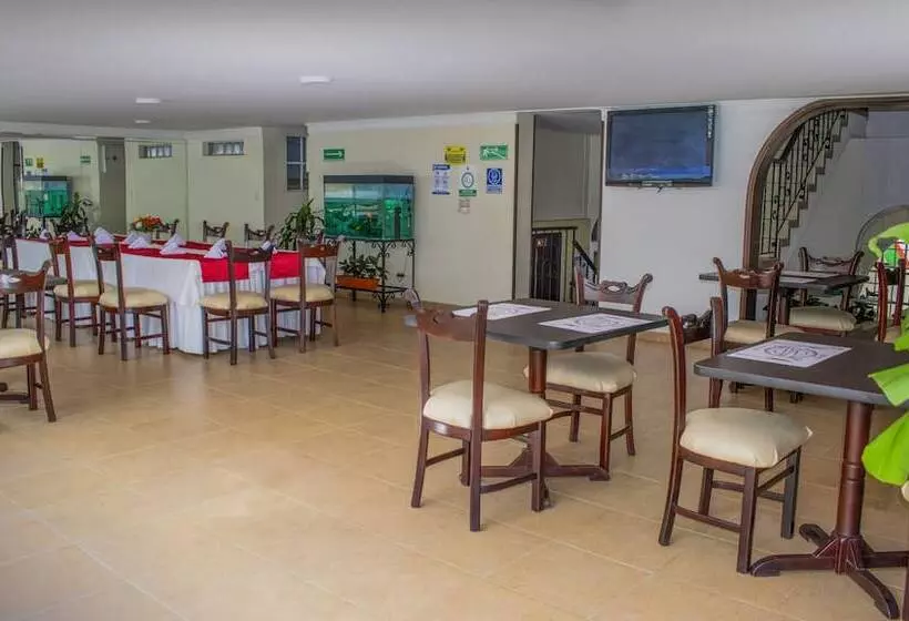 Fotos del hotel Plaza Versalles:  7