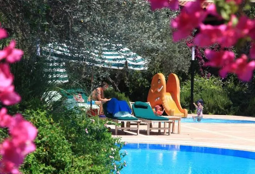 Fotos del hotel Zeytinada:  25