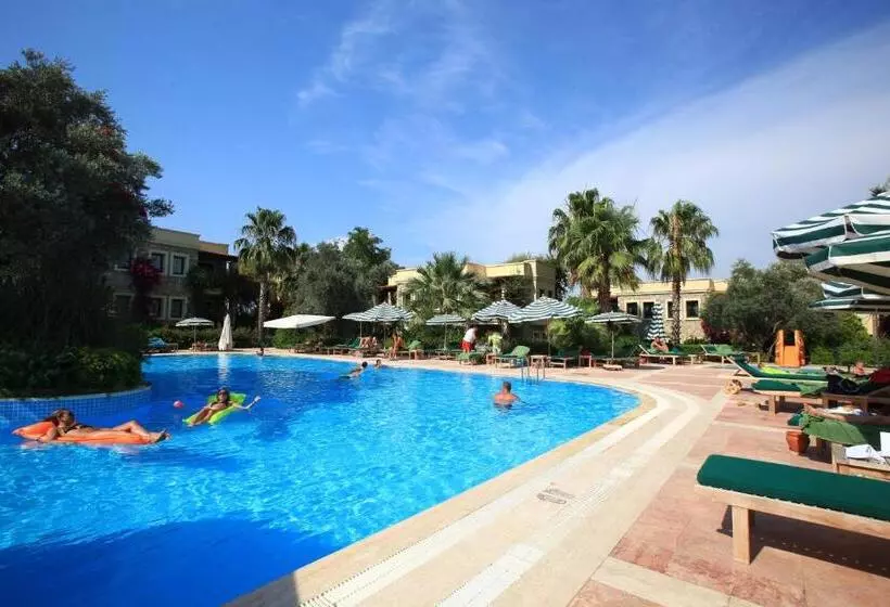 Fotos del hotel Zeytinada:  22