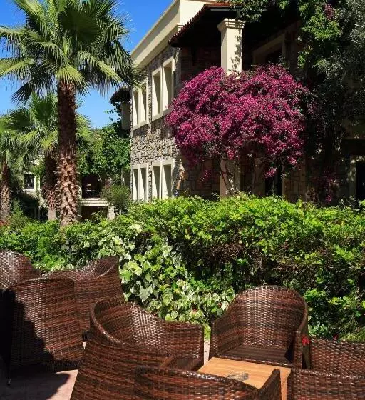 Fotos del hotel Zeytinada:  9