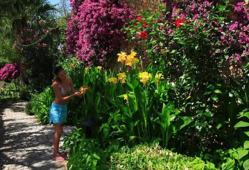 Fotos del hotel Zeytinada:  11