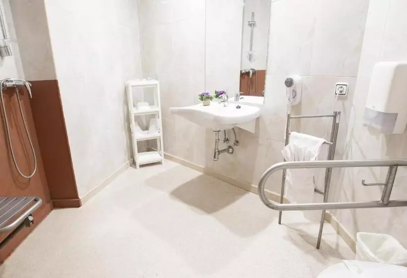 Fotos del hotel Isabel De Segura:  11