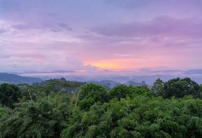 Fotos del hotel Amaya Hills Kandy:  18