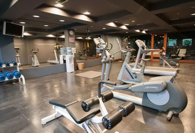 Fotos del hotel Enjoy Puerto Varas:  4