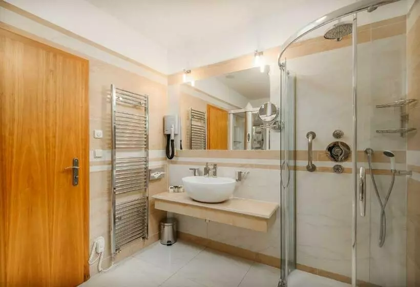 Fotos del hotel Richard:  23