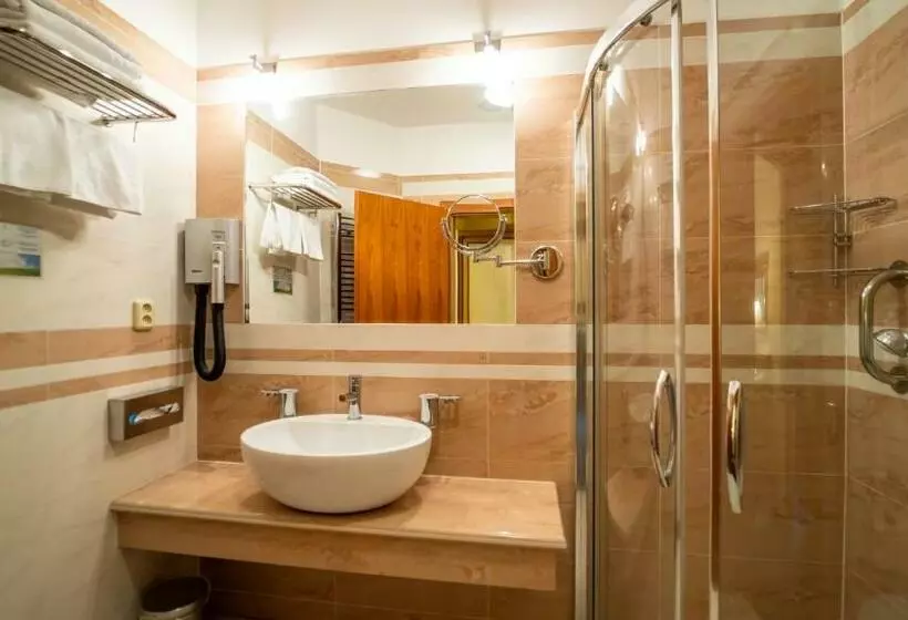 Fotos del hotel Richard:  20