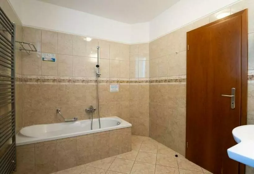 Fotos del hotel Richard:  16