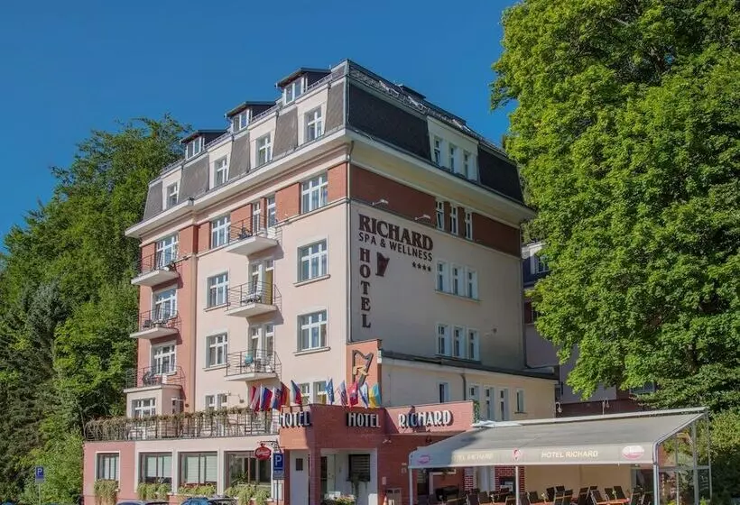 Fotos del hotel Richard:  8