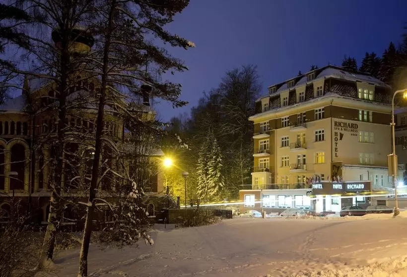 Fotos del hotel Richard:  21