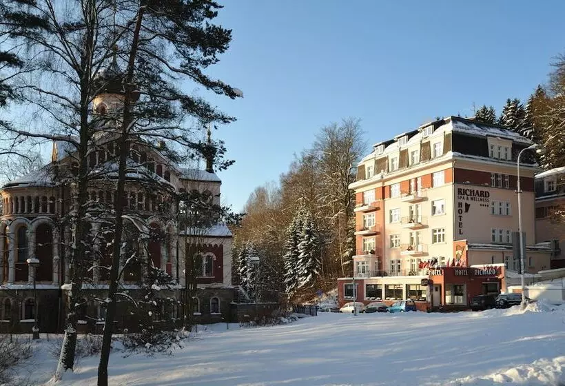 Fotos del hotel Richard:  17