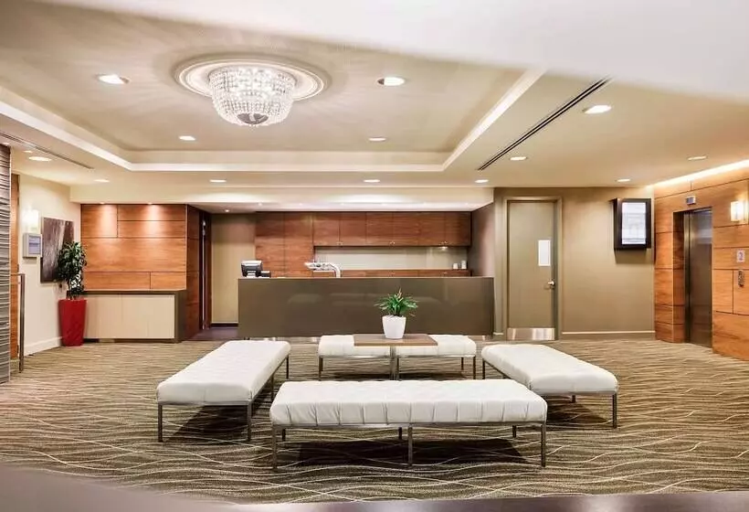 Fotos del hotel Novotel Christchurch Cathedral Square:  3