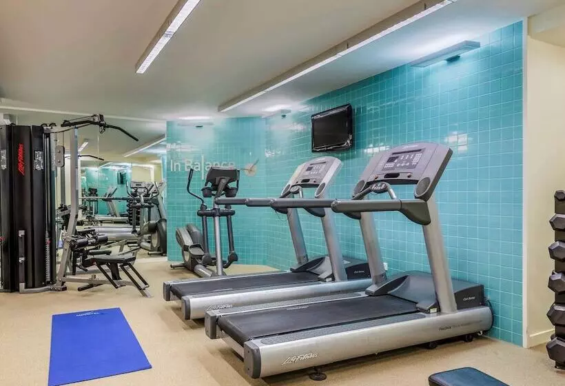 Fotos del hotel Novotel Christchurch Cathedral Square:  4