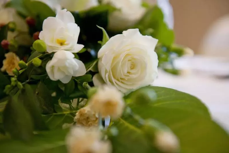 Fotos del hotel Alexandra House:  8