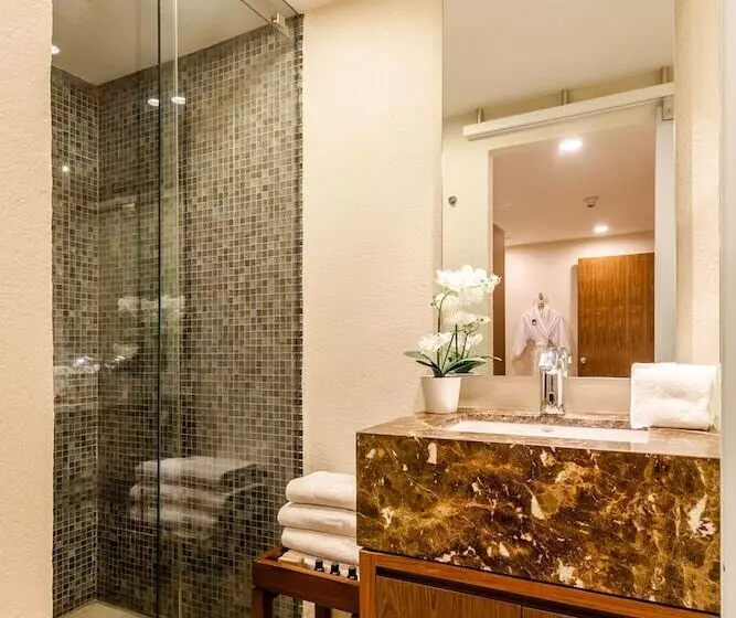 Fotos del hotel Camino Real Pedregal Mexico:  7