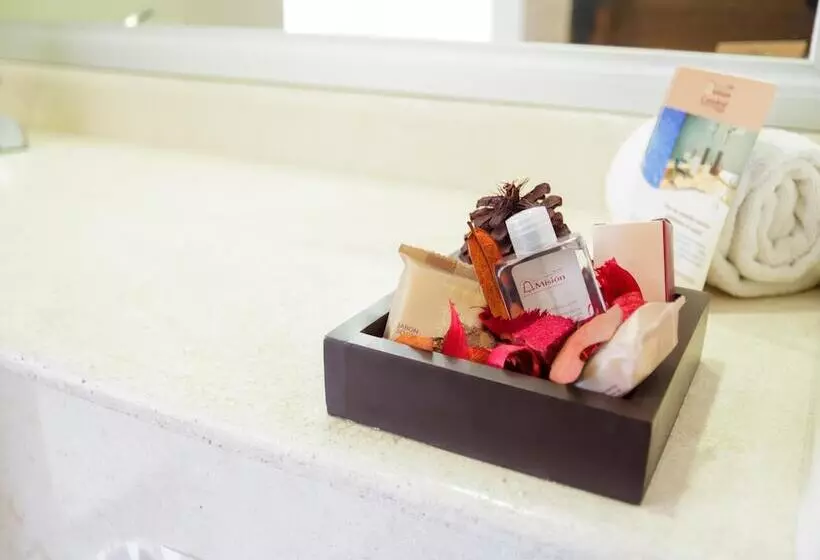 Fotos del hotel Mision Catedral Morelia:  13