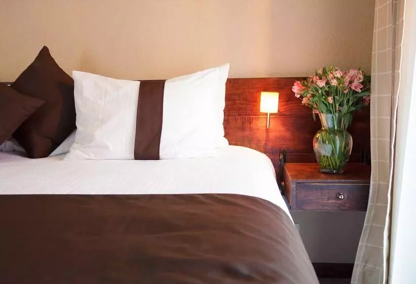 Mision Catedral Morelia