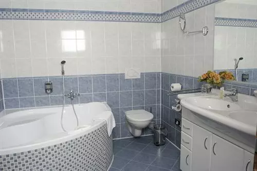 Fotos del hotel Hotel Modra Ruze:  4