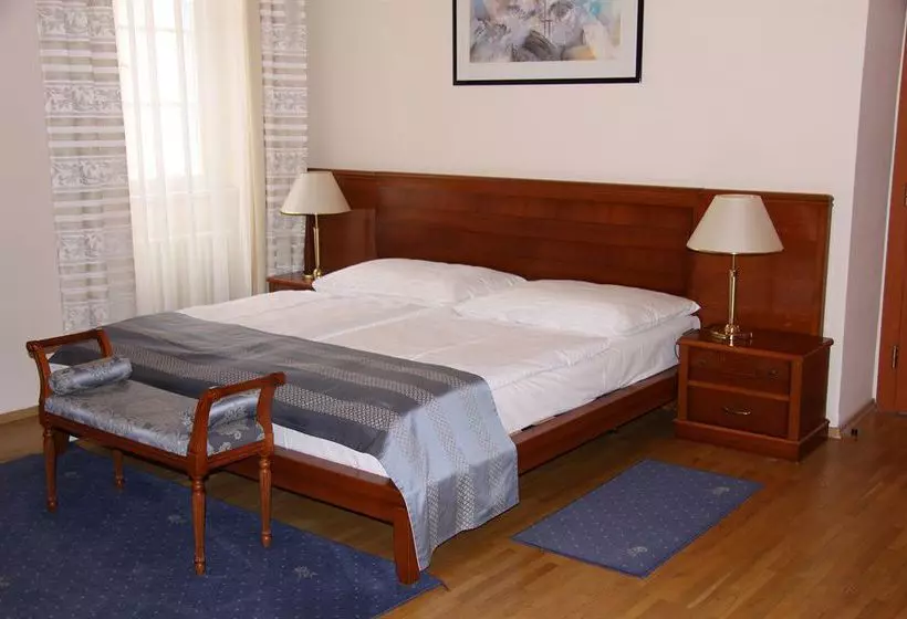 Fotos del hotel Hotel Modra Ruze:  13