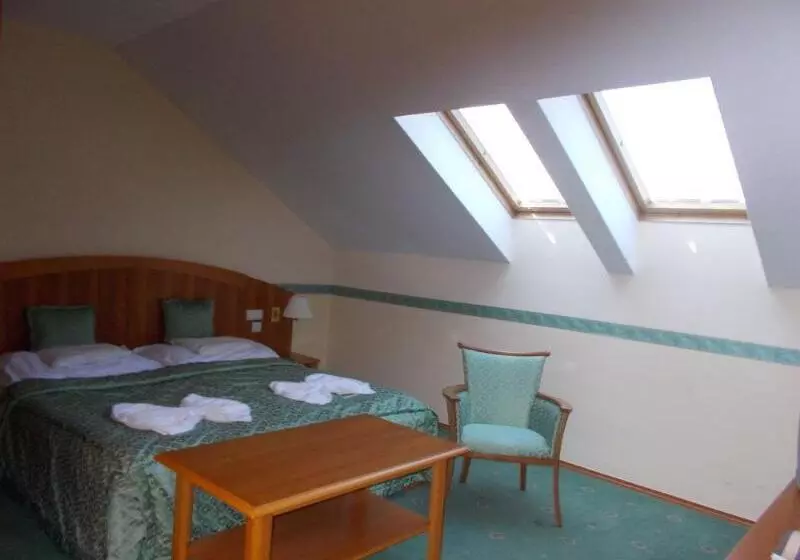 Fotos del hotel Palace  Hévíz:  2