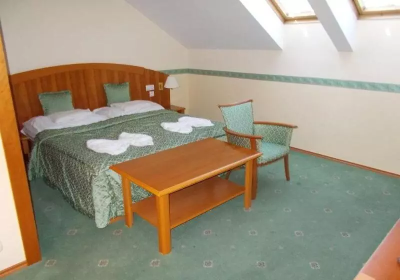 Fotos del hotel Palace  Hévíz:  19