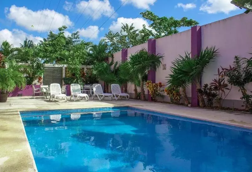 Fotos del hotel Capital O The Magic:  3