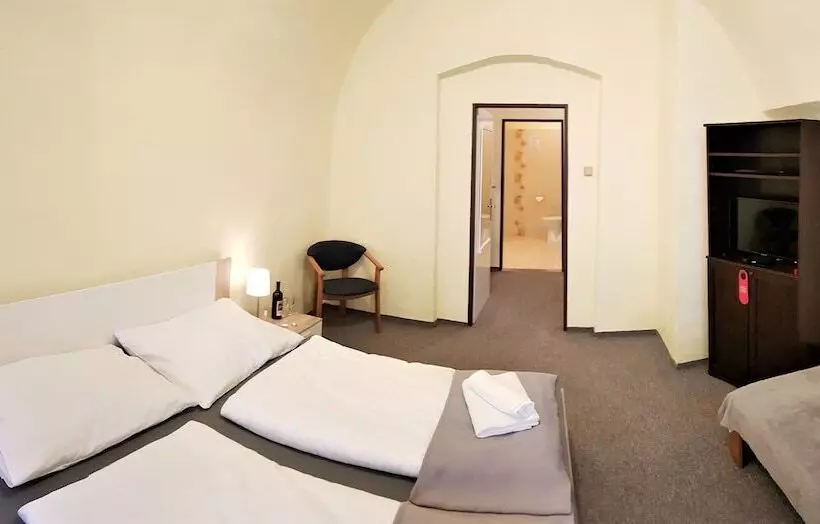 Fotos del hotel U Dvou Zlatych Klicu:  12