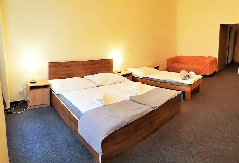 Fotos del hotel U Dvou Zlatych Klicu:  8