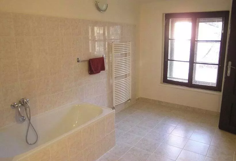 Fotos del hotel U Dvou Zlatych Klicu:  9