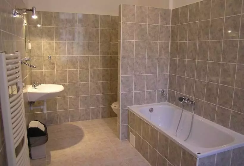 Fotos del hotel U Dvou Zlatych Klicu:  11