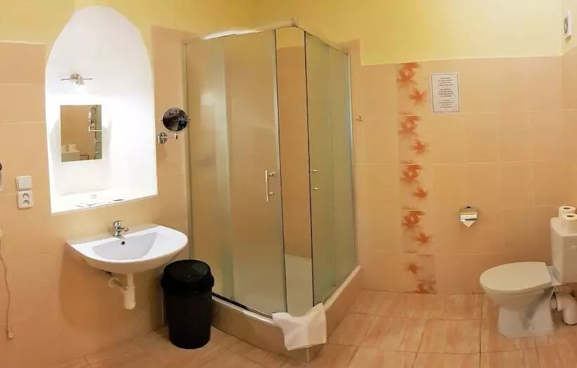 Fotos del hotel U Dvou Zlatych Klicu:  19